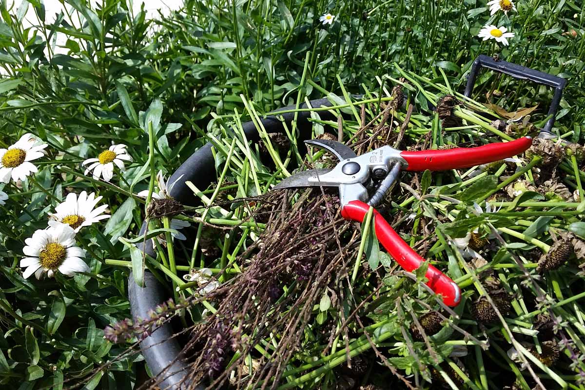Garden shears cutting through green waste and leaves