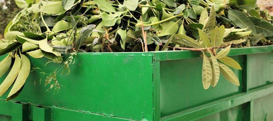 Garden Waste Removal in North London